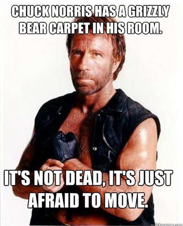 Chuck Norris Has A Grizzly Bear Carpet But He's Not Dead
