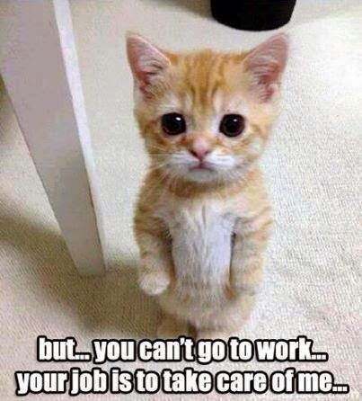 But ... You Can't Go To Work, Your Job Is To Take Care Of Me
