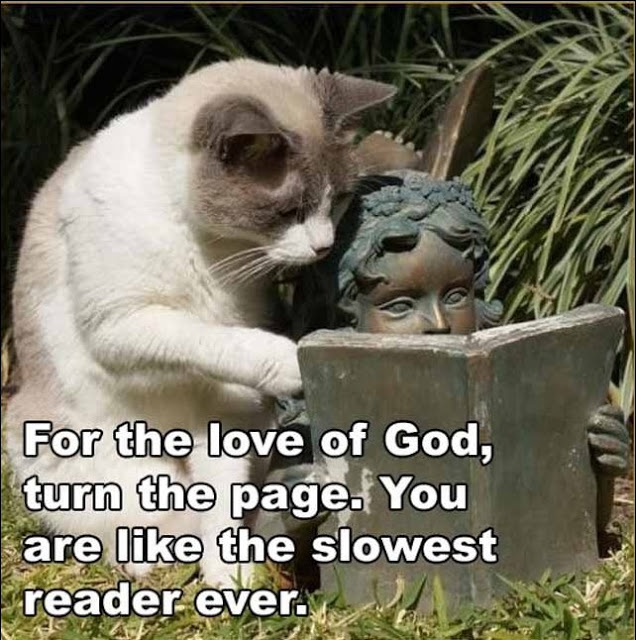 For The Love Of God, Turn The Page.