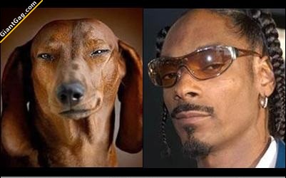 Snoop Dogg Look Alike