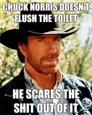 Chuck Norris Doesn't Flush The Toilet He ....