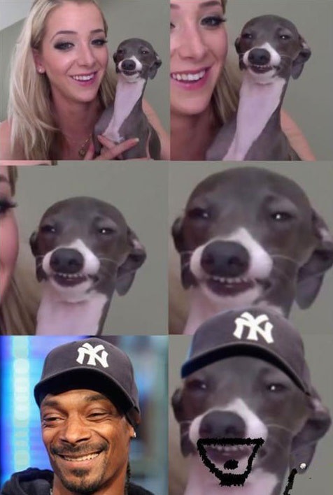 Snoop Dog Look Alike