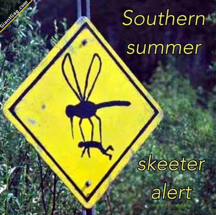 Southern Summer Skeeter Alert