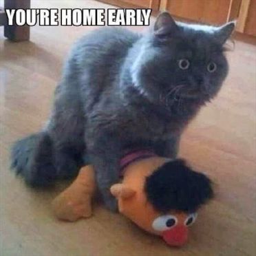 You're Home Early
